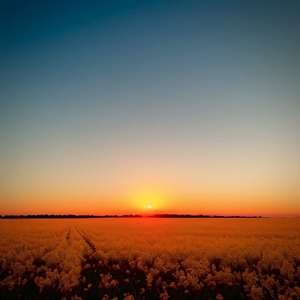 阴部长满毛耸耸的黑毛的治疗方法
